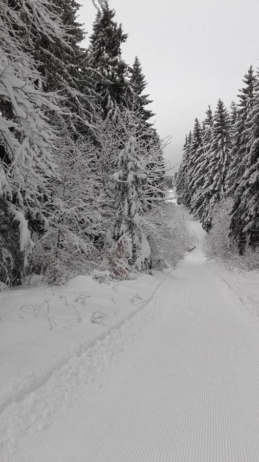 Apartmán Haus Tippe Braunlage Exteriér fotografie